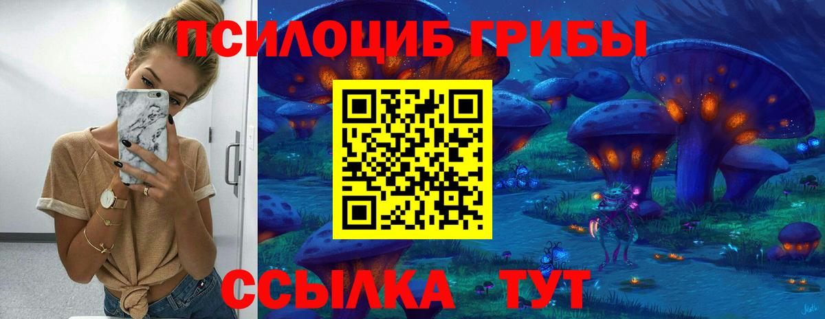 Псилоцибиновые грибы Cubensis  Вход с VPN  Мыски  Галлюциногенные грибы GOLDEN TEACHER 