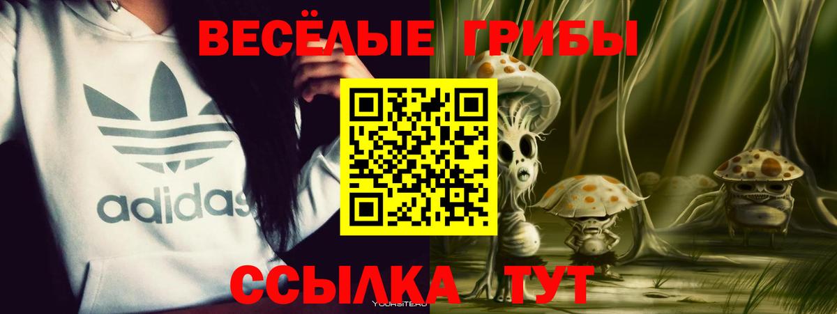 Галлюциногенные грибы MAGIC MUSHROOMS Мыски